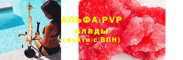 мдпв Карпинск
