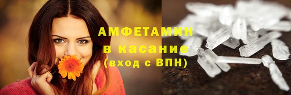 мдпв Карпинск