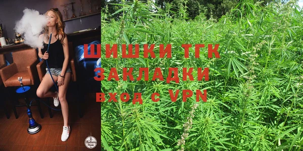 мдпв Карпинск