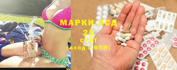 мдпв Карпинск
