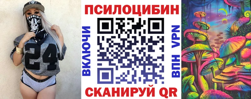 Галлюциногенные грибы Psilocybine cubensis  Нахабино 