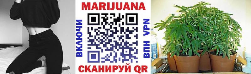 МЕГА онион  Нахабино  Бошки Шишки Amnesia 